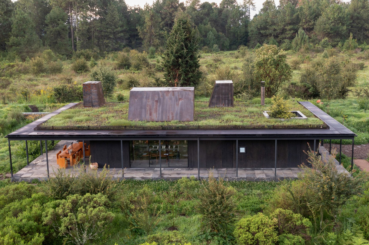 Unlock Permaculture Benefits: Cost Savings, Self-Sufficiency & Nature